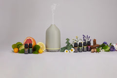 Muskat Salvie/Clary Sage naturlig eterisk olje