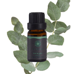 Eucalyptus naturlig eterisk olje